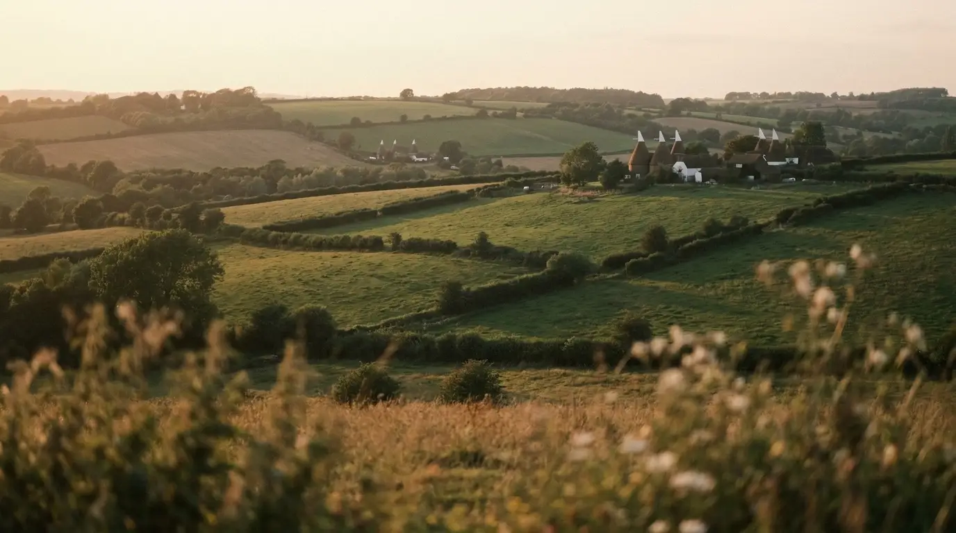 The Kent countryside at golden hour
